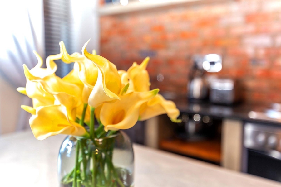 2 Bedroom Property for Sale in Knysna Central Western Cape